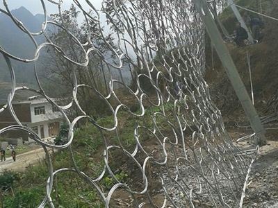 環(huán)形邊坡防護(hù)網(wǎng) - 安平縣佰泰金屬絲網(wǎng)制品有限公司