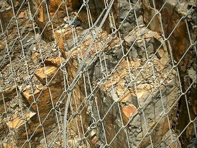 絞索網(wǎng) - 安平縣佰泰金屬絲網(wǎng)制品有限公司