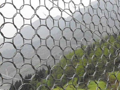 RXI-200型被動防護(hù)網(wǎng) RXI-200型被動防護(hù)網(wǎng)