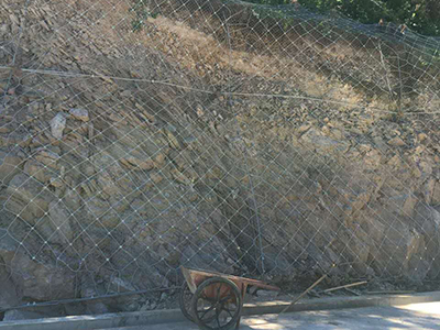 SNS主動(dòng)邊坡防護(hù)網(wǎng) - 安平縣佰泰金屬絲網(wǎng)制品有限公司